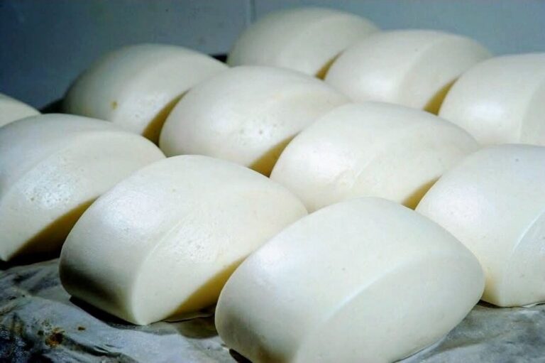 572341363_10164742044049073_6462305823252938204_n