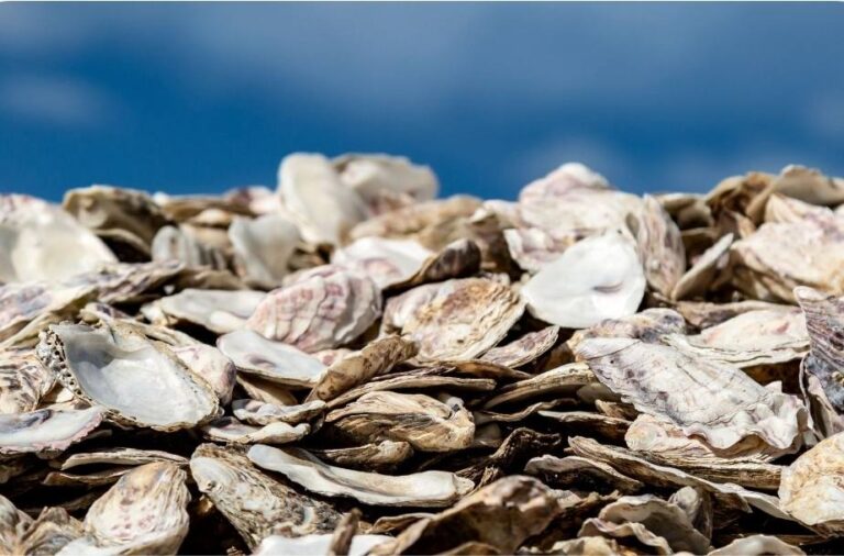 574263187_10164758860204073_4641726082877424050_n