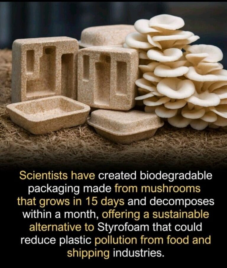 589334067_10164867492504073_8500380784460784840_n