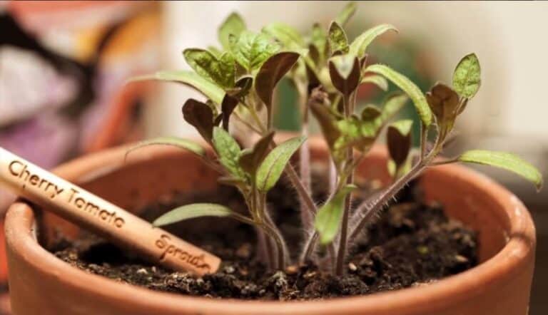 641569724_10165319819194073_6371418334083199710_n