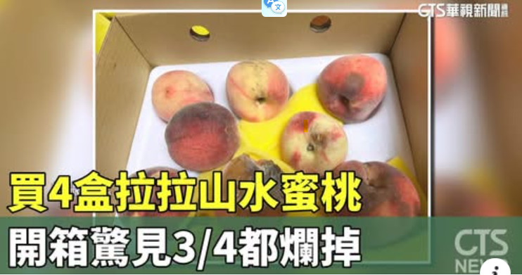 螢幕擷取畫面 2025-08-05 105540